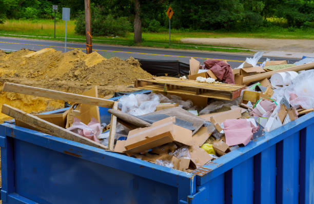 Best Dumpster Rental Services  in Le Roy, IL